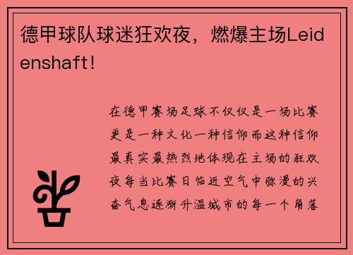 德甲球队球迷狂欢夜，燃爆主场Leidenshaft！