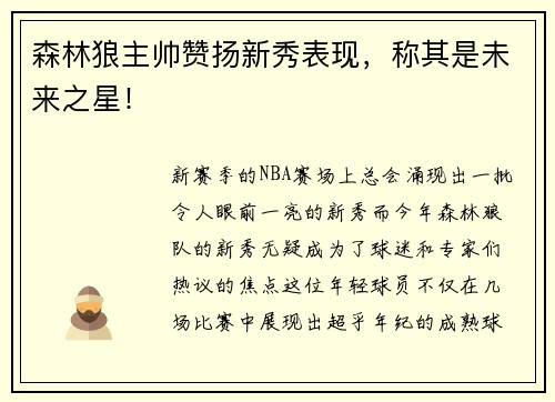 森林狼主帅赞扬新秀表现，称其是未来之星！